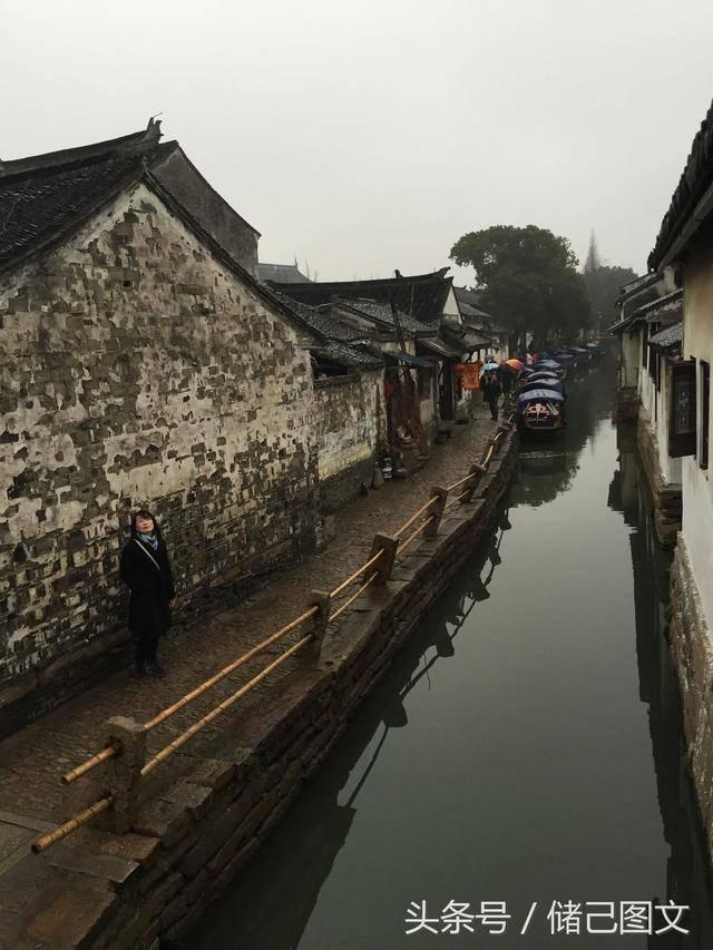 动物帮帮忙保卫家园